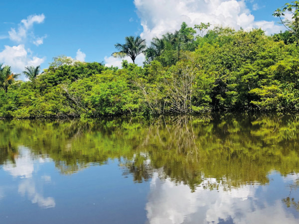 iquitos1
